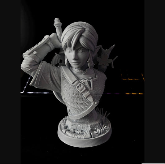 Link de TheLegendOfZelda