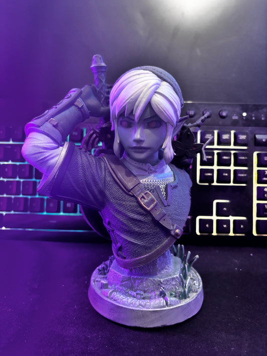 Link Maléfique TheLegendOfZelda